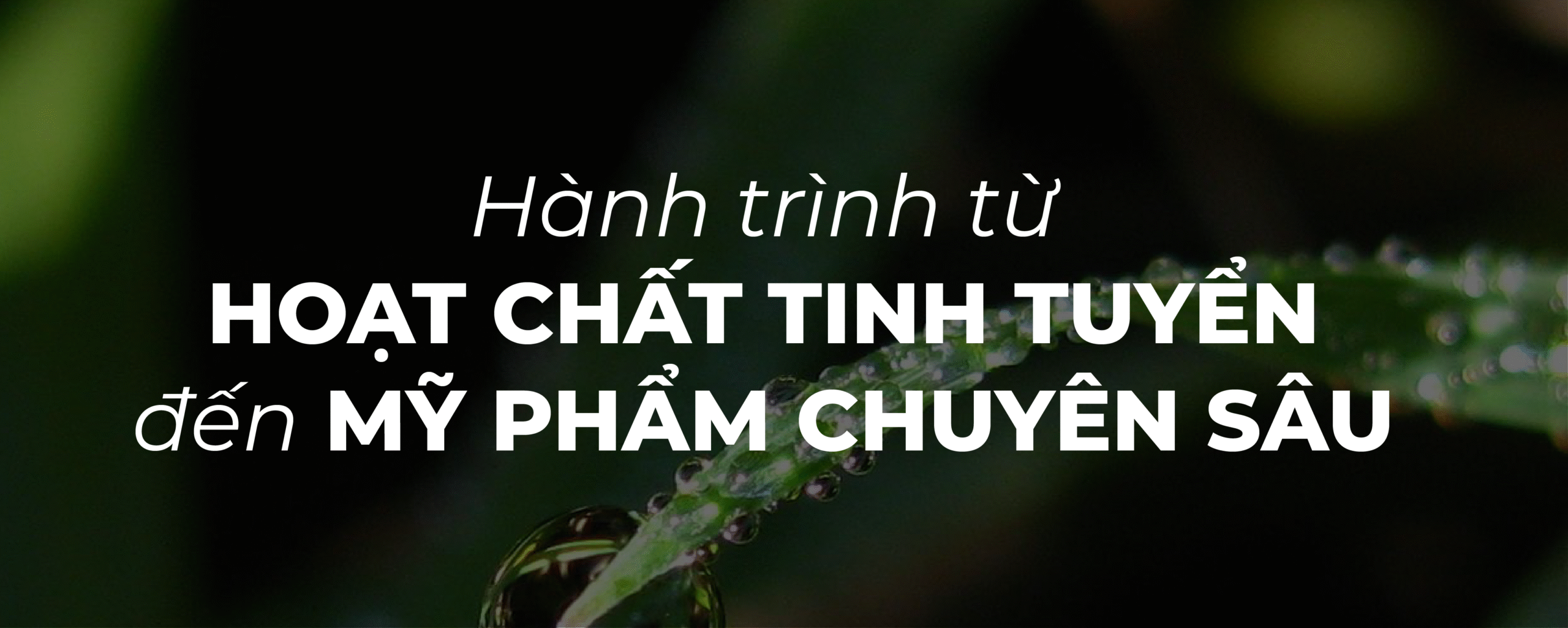 Về chúng tôi 5 banner 09 1 scaled