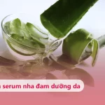 Bật mí 3 cách tự làm serum nha đam dưỡng ẩm, làm trắng da tại nhà Hướng dẫn cách làm serum nha đam dưỡng da ngay tại nhà