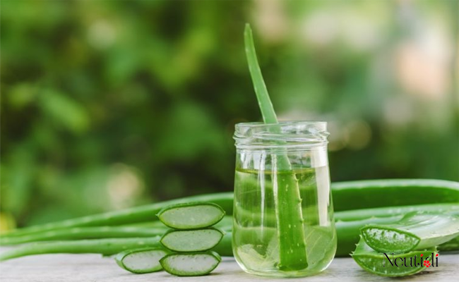 Tác dụng của serum nha đam tự nhiên