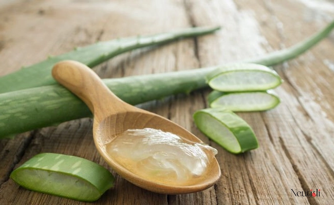 Những điều cần nhớ khi trị mụn bằng gel nha đam tại nhà