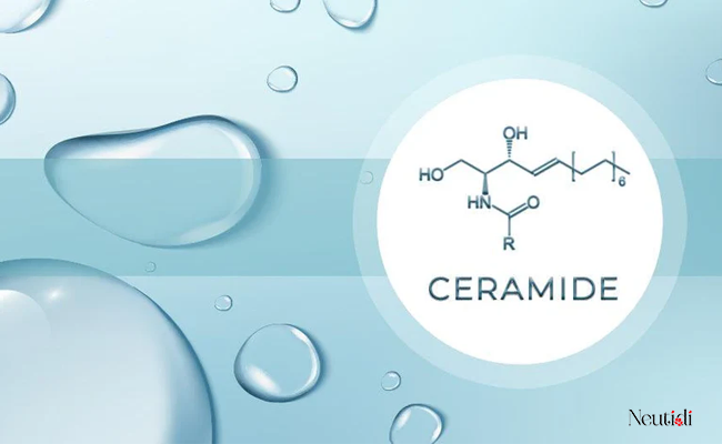 Ceramide có tác dụng gì?