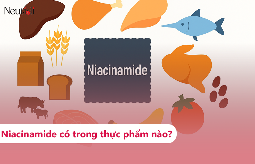 Niacinamide có nhiều trong thực phẩm nào?