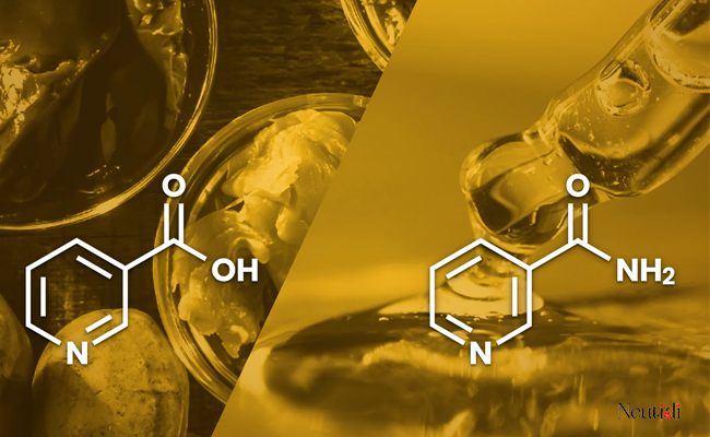 Niacinamide và niacin là gì