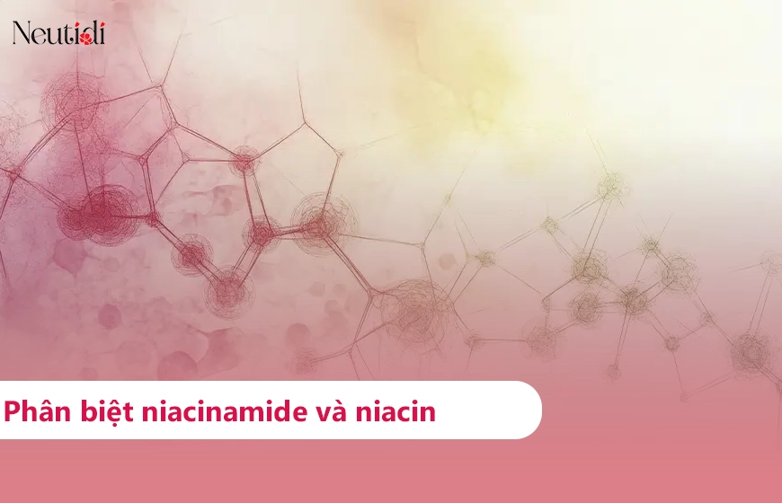 Phân biệt niacinamide/nicotinamide và niacin