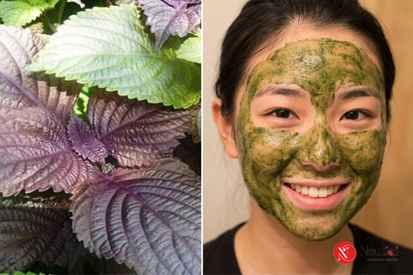Rửa mặt bằng lá tía tô hỗ trợ làm sạch da