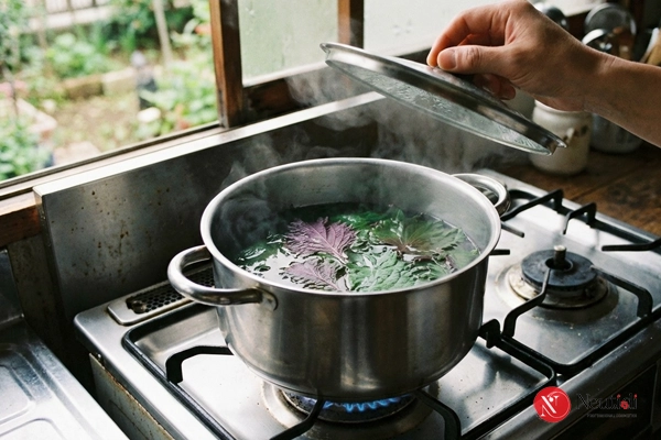 Rửa mặt bằng nước lá tía tô nấu