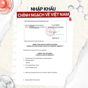 Giấy Công bố của Neutidi ProAcne Gel